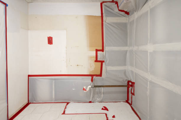 Environmental Consulting for Mold Prevention in Martin, SD